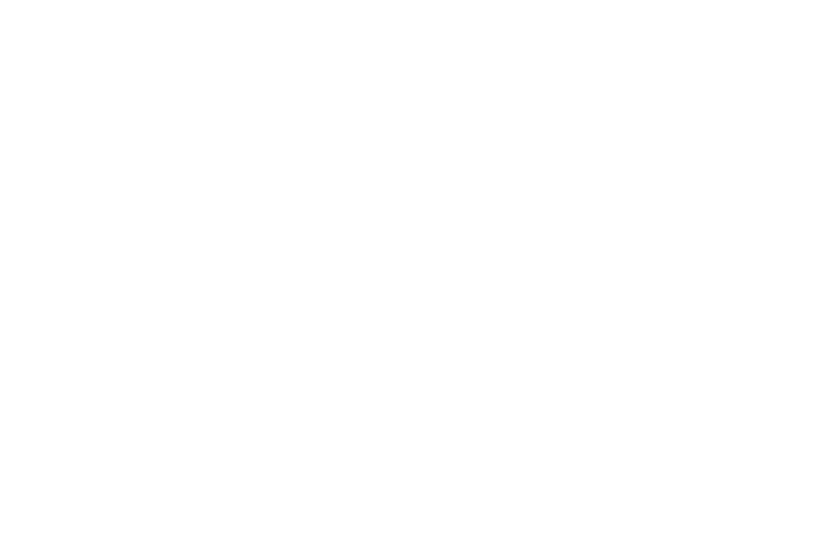 New Brand